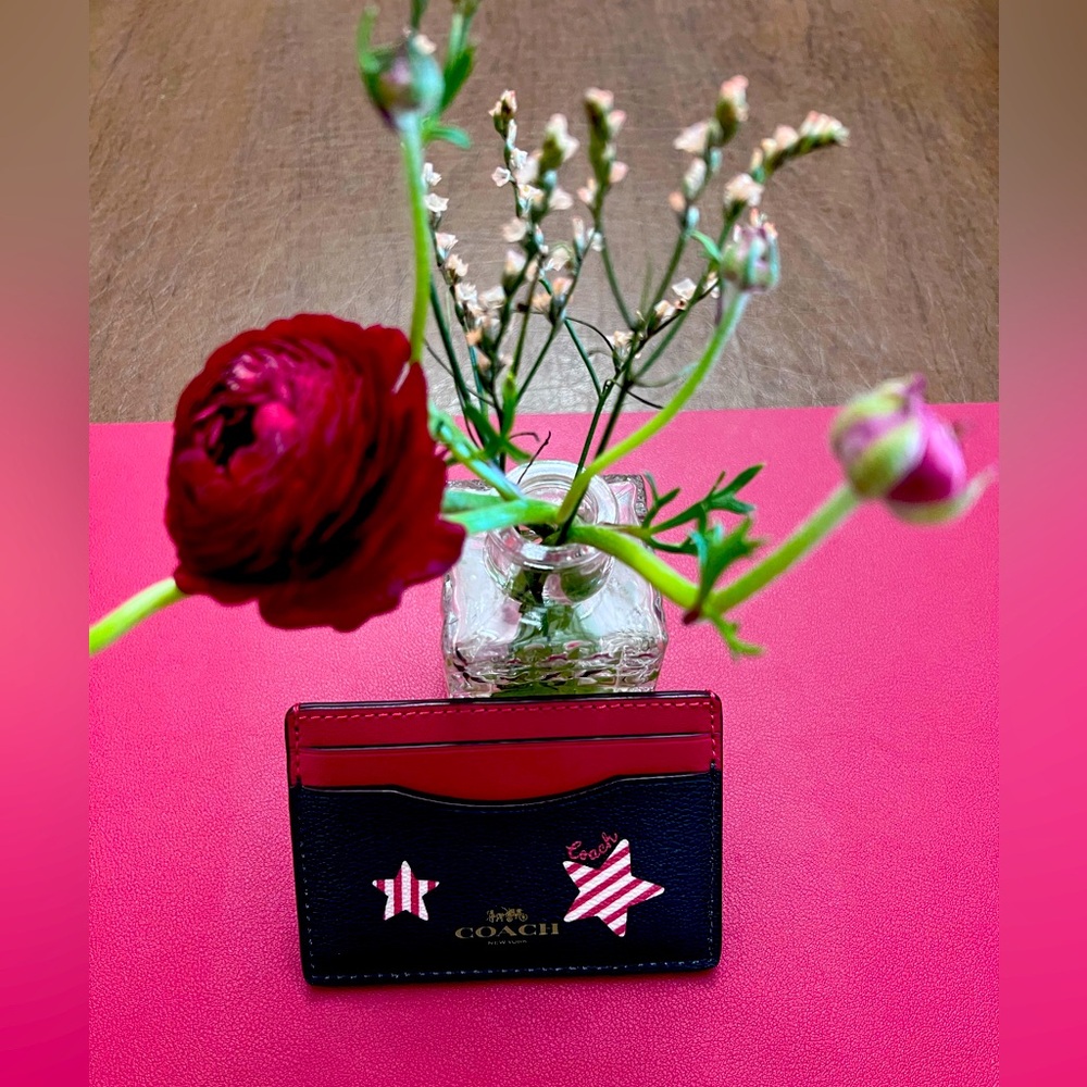 COACH | Card Holder (Stars)